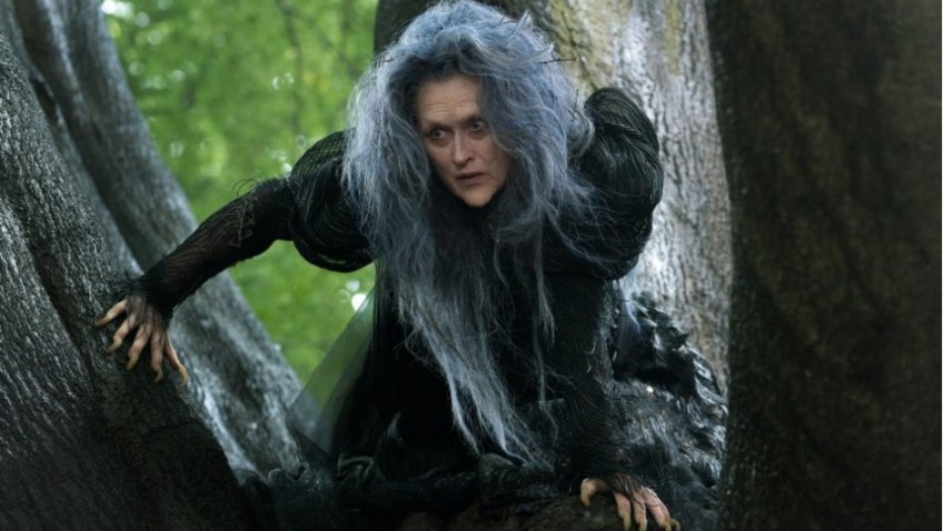 Meryl Streep tops this cast as an ugly hag!