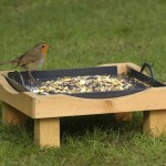 RSPB Big Garden Birdwatch results: Fewer finches visiting our gardens