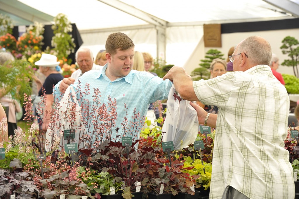 PRESS Purchasing plants at the Blenheim Palace Flower Show