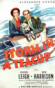 storm-in-a-teacup