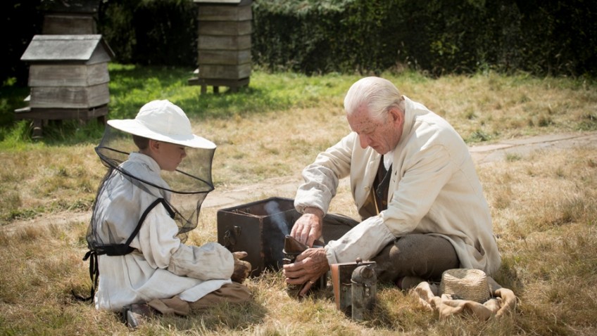 What do you know about beekeeping?