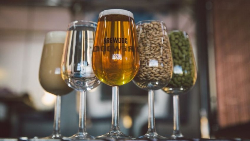 BrewDog: Craft beer for crafty investors