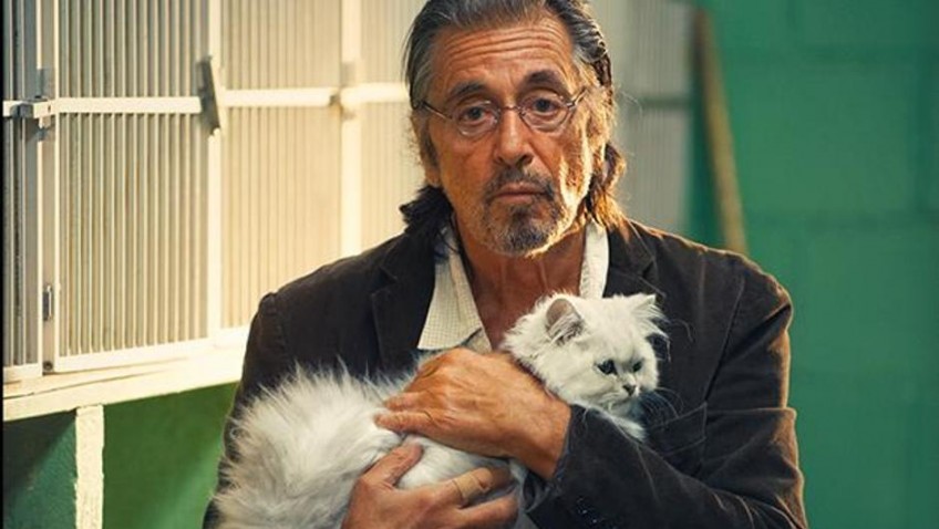 Al Pacino keeps trying, but not even Holly Hunter can redeem this disappointing film