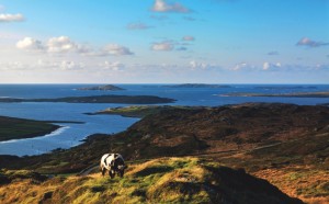 wild atlantic way Images by Chris Hill Photographic