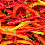 Chillies selection - Free for commercial use No attribution required - Credit Pixabay