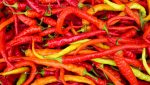 Chillies – Can you benefit from the heat?