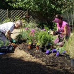 Transforming gardens to support people with dementia