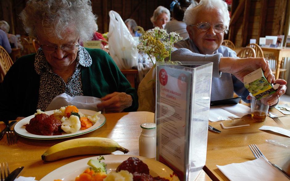 Elderly eating food - Support - Free for commercial use No attribution required - Credit Pixabay