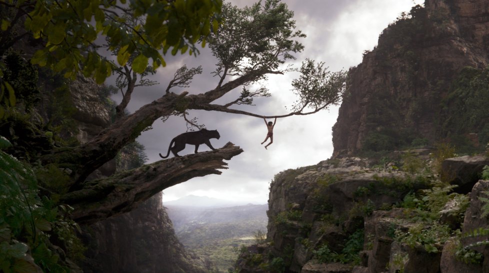 Mowgli swinging on tree with panther