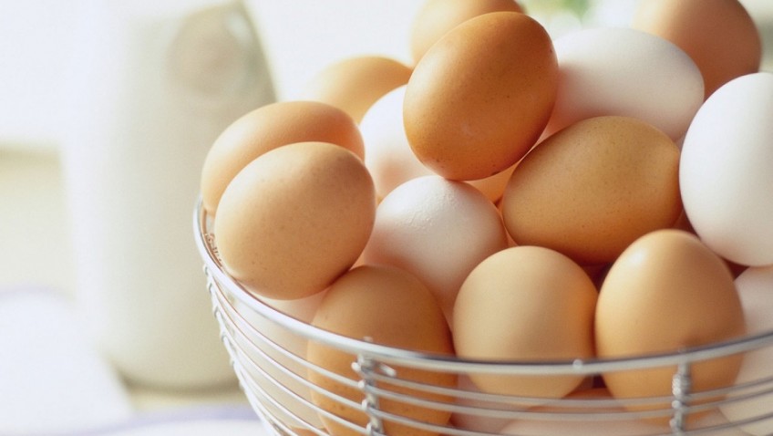 Eggs – the perfect protein, for any stage of life