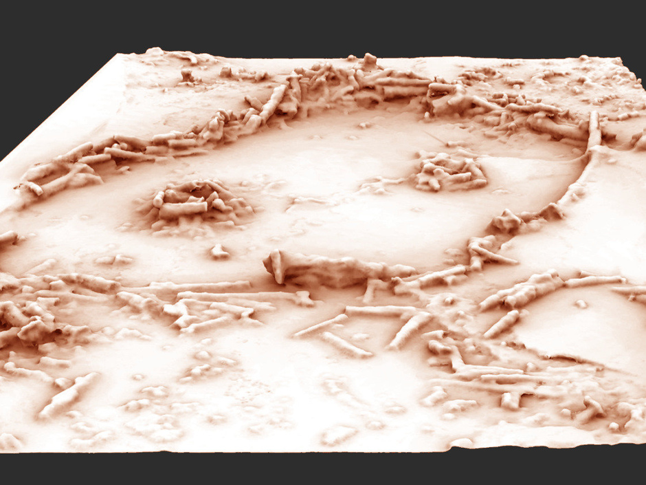 3D reconstruction of the structures in the Bruniquel Cave - Copyright - Xavier MUTH / SWNS.com - Credit Xavier MUTH / SWNS.com
