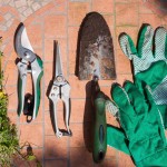 Gardening tools - Free for commercial use No attribution required - Credit Pixabay