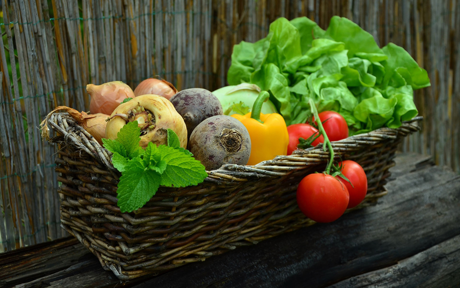 Vegetables - Harvest - Free for commercial use No attribution required - Credit Pixabay