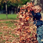 young child throwing up leaves in Autumn