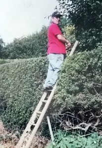 old man up ladder on hedge