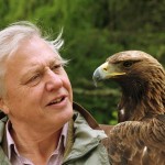 Sir David Attenborough revealed as the nation’s favourite TV personality