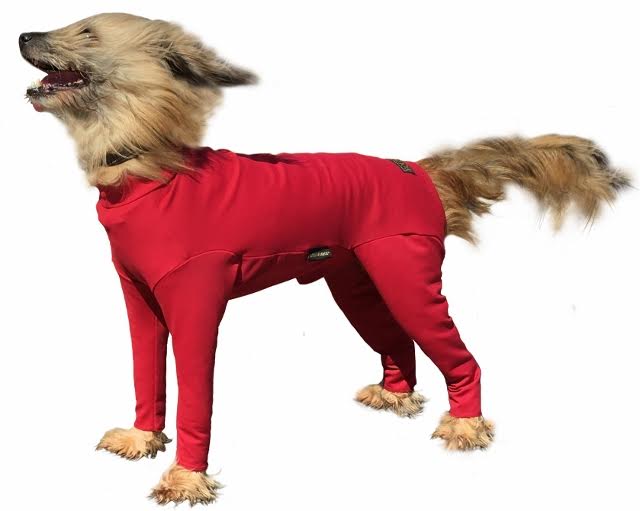 Protect your dog from ticks with a Summer Suit from Equafleece Mature