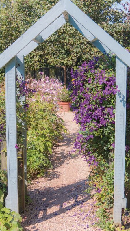 Garden arch - Purple flowers