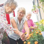 Older people gardening