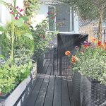 Gardening tips for balconies and patios