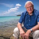 Sir David Attenborough: And now for something completely different