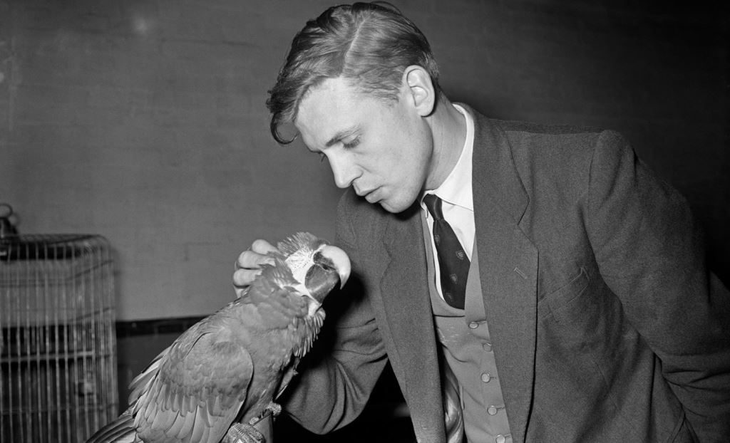 Young Sir David Attenborough