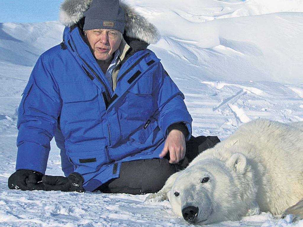 Sir David Attenborough with Polar bear