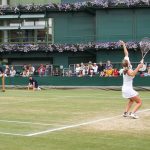 Wimbledon memories - Tennis - Free for commercial use No attribution required - Credit Pixabay