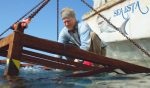 An effective, well-made summer shark movie