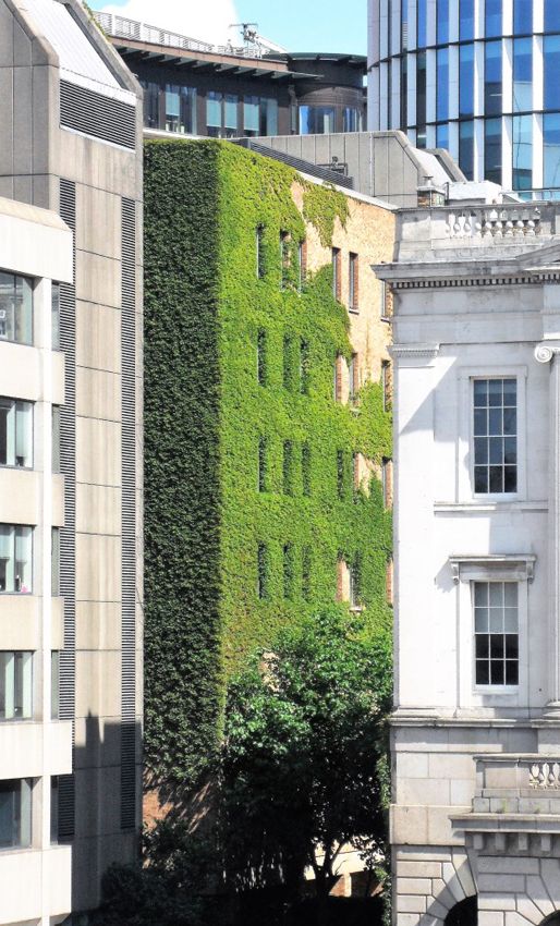 Vertical plant walls - London