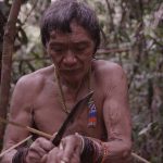 Tawai: A Voice from the Forest - Copyright Quest Unlimited - Credit IMDB