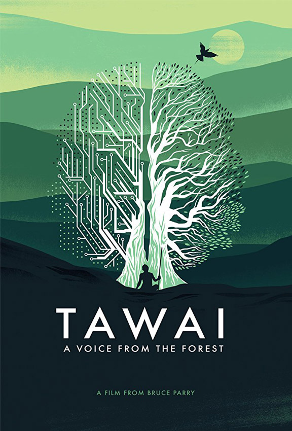 Tawai: A Voice from the Forest - Copyright Quest Unlimited Ltd - Credit IMDB