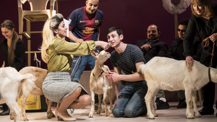 6 goats make their stage debut at Royal Court Theatre