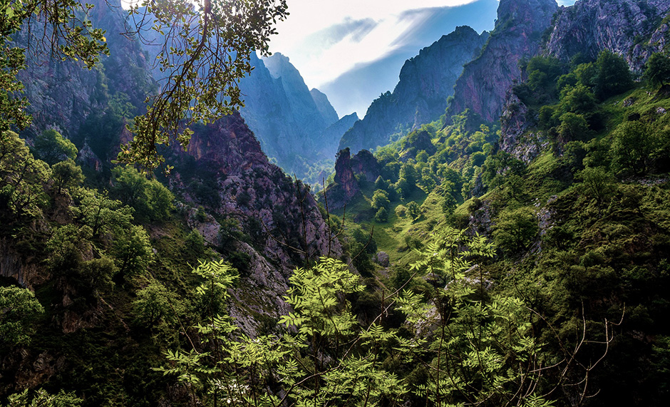Picos de Europa - Asturias - Free for commercial use No attribution required - Credit Pixabay