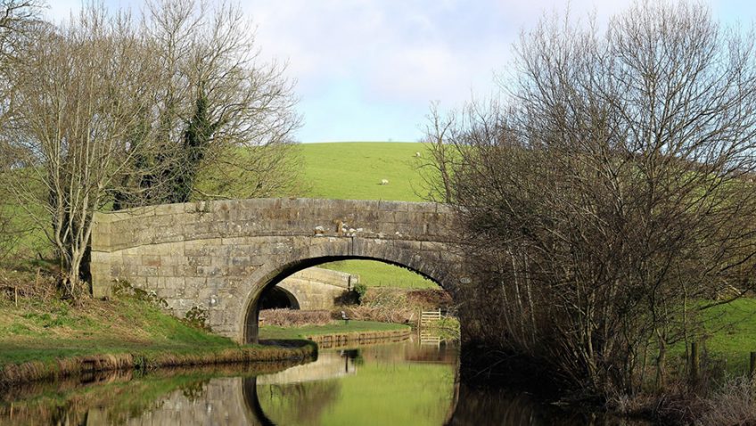 Share the joys of spring on Britain’s canal towpaths