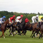 Horse Racing - Free for commercial use No attribution required - Credit Pixabay