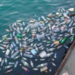 Plastic bottle waste - Free for commercial use - No attribution required - Credit Pixabay