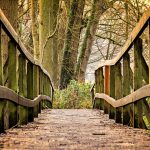 Bridge to a forest - Free for commercial use - No attribution required - Credit Pixabay