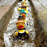 Rubber ducks - Waste water - Gutter - Free for commercial use - No attribution required - Credit Pixabay