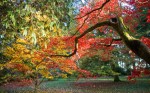 Enjoy a riot of colour this autumn