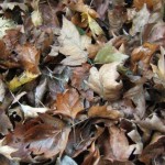 Winter bedding will brighten your darker days