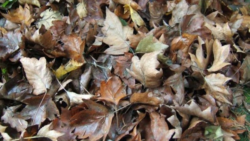 Winter bedding will brighten your darker days