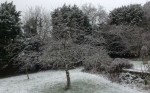 Older people are staying home to avoid icy pavement hazards