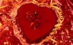 Are you looking for your Valentine?