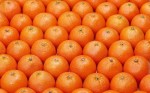 Fight macular degeneration with your diet
