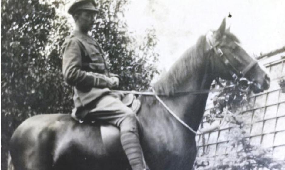 Wonder horse - Mature Times