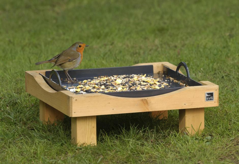 RSPB Big Garden Birdwatch results Fewer finches visiting