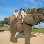 Globe-trotting pensioners to dip into pension pot  