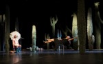 The safety-curtain came down in the middle of the show and stayed down – the ultimate critique