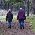 Dog walking - Couple walking - Free for commercial use No attribution required - Credit Pixabay